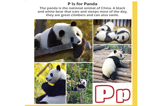 P — это панда